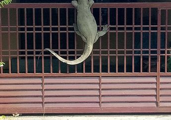 Arti Mimpi Mengunci Gerbang Melambangkan Hal Baik Ini, Simak Tafsir Lengkapnya!