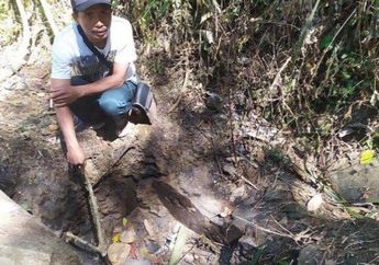 Ditemukan Anak Kecil, Temuan Potongan Kepala Manusia Terbakar Gegerkan Banyumas