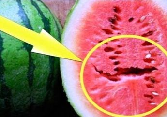 Catat! Ini 5 Tips Penting dalam Memilih Buah Semangka Terbaik yang Matang Sempurna dan Manis