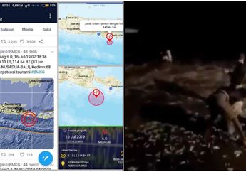 Ribuan Ikan Tiba-tiba Terdampar di Pantai Canggu Malam Sebelum Gempa Bali, Ini Penjelasannya