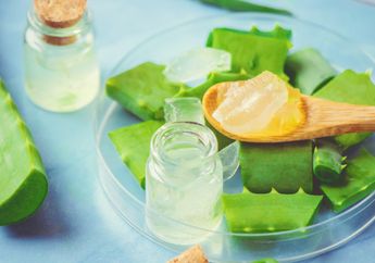 Resep Masker Alami dari Lidah Buaya Sesuai Jenis Kulit, Rekomendasi Perawatan Wajah Murah Meriah!