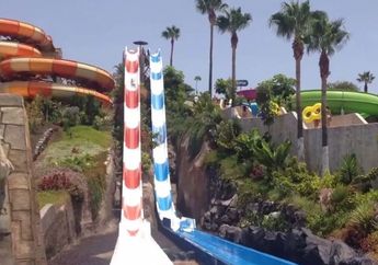 Berniat Rayakan Ulang Tahun di Waterpark, Seorang Wanita Justru Nyaris Tewas Saat Bermain Seluncuran