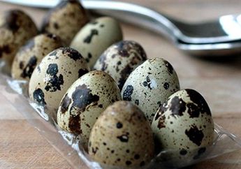 Manfaat Ajaib Telur Burung Puyuh, Ampuh Tingkatkan Kesehatan Jantung