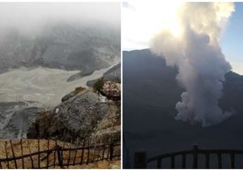 Update Terbaru Gambar Gunung Tangkuban Perahu Pasca Erupsi, BNPB : Daerah Wisata Telah Ditutup