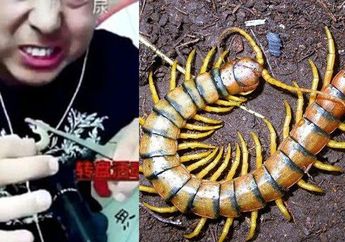 Buat Siaran Langsung di Youtube dengan Makan Tokek Hingga Kelabang Hidup, Nasib Youtuber ini Berakhir Tragis