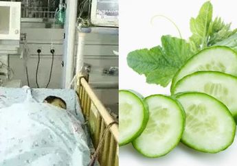 Segar dan Menyehatkan, Mentimun Ternyata Bisa Mengancam Nyawa Jika Dikonsumsi Penderita Penyakit Ini