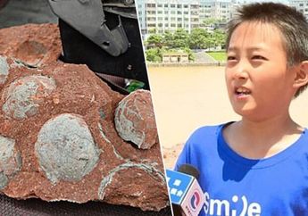 Main di Luar Rumah, Bocah SD Ini Tak Sengaja Temukan 11 Telur Dinosaurus Berusia 65 Juta Tahun!