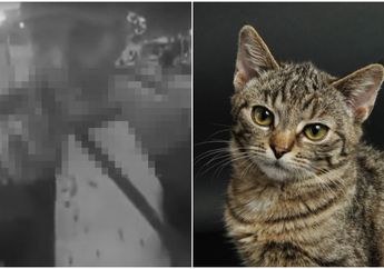 Diduga Stress, Abah Grandong yang Makan Kucing Hidup-hidup Hingga Sempat Viral Ngaku Cuma Mau Pamer Kekuatan Debus