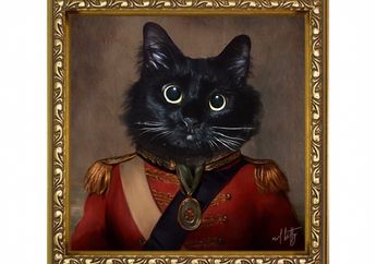 Kucing Persia Hitam Ini Bisa Berakting Layaknya Bintang Film, lo!