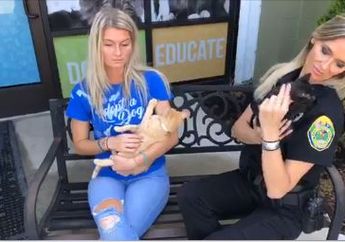 Tak Punya Uang Tunai, Makanan Kucing Bisa Untuk Bayar Parkir!