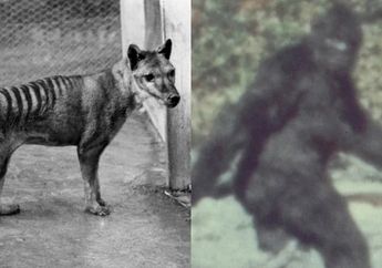 7 Makhluk Unik yang Melegenda dan Keberadaannya Masih Misterius, Salah Satunya dari Indonesia