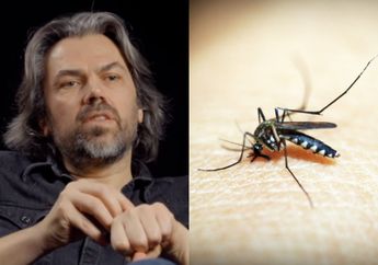 Bukannya Membasmi, Aktivis Hewan Ini Justru Sarankan Masyarakat untuk Tidak Membunuh Nyamuk dan Biarkan Mereka Menghisap Darah Manusia