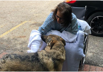 Kaki dan Tangan Wanita Ini Terpaksa Diamputasi karena Sering Dijilat Anjing