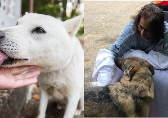 Tangan dan Kaki Wanita ini Terpaksa Diamputasi Karena Sering Dijilati Anjingnya