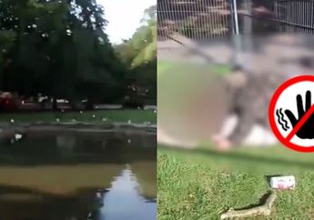 Memalukan! Pasangan Suami Istri Sengaja Berhubungan Intim di Taman Bermain Anak-Anak