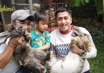 Jangan Sepelekan Arti Mimpi Kelinci, Bisa Jadi Bukan Pertanda Untung Malah Buntung