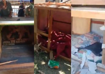 Terbongkar Praktik Prostitusi Berkedok Warung Kopi di Madiun, Kolong Meja Dijadikan Bilik Asmara Sempit Layaknya Kandang Ayam