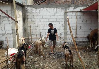 Hafal 1 Juz Al-Quran, Kamu Bisa Dapet Cashback Ratusan Ribu Kalau Beli Hewan Kurban di Pasar ini