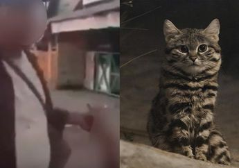 Aksinya Memakan Kucing Hidup-Hidup Sempat Viral: ini Dampak Mengerikan yang Akan Terjadi Pada Tubuh