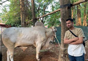 Tak Hanya Sapi Raksasa 1,2 ton Bernama si Gembul, Raffi Ahmad Juga Kurbankan 16 Hewan Lain untuk Seluruh Karyawannya di Hari Idul Adha 2019