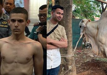 BERITA TERPOPULER: BIN Semprot TNI Soal Kabar Enzo Allie Terpapar Radikalisme hingga Raffi Ahmad Kurbankan Sapi Raksasa 1,2 Ton dan 16 Hewan Lain