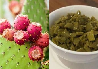 Bukan Cuma Sekedar Hiasan, Konsumsi Kaktus Juga Berikan Manfaat Kesehatan Luar Biasa