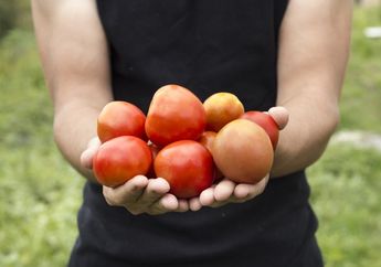 Miliki Kulit Glowing dan Sehat Cuma Modal Perasan Tomat dan Campuran 2 Bahan Alami Ini