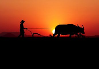 5 Arti Mimpi Membajak Sawah, Pertanda Baik atau Justru Pertanda Buruk? Simak Penjelasannya