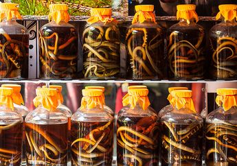 Bir Ular Hingga Kantung Kotoran Ikan, ini 5 Makanan Ekstrem di Jepang