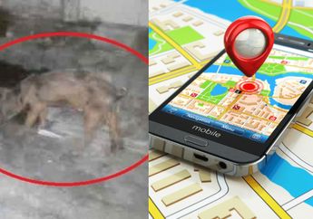 Geger Isu Pesugihan Babi Ngepet di Solo, Fakta Sebenarnya Terungkap Berkat GPS
