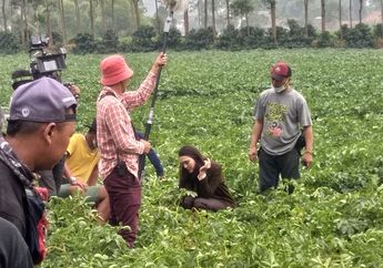 Syuting Film Rumah Kentang: The Beginning, Luna Maya Totalitas Terjun ke Kebun!