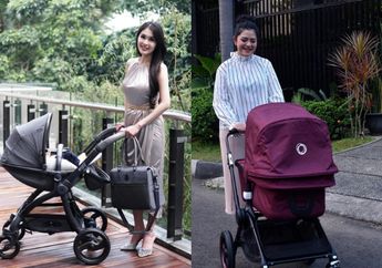 Kenali  4 Macam Stroller Bayi dan Kegunaannya, Ada Apa Saja?