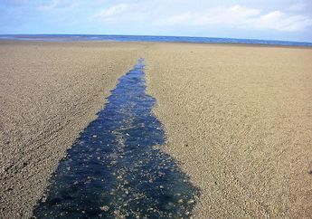 Selain Benua Australia Bergerak Mendekati Indonesia, Pernah Ada Pelaut Berlayar 8 Jam Tapi Tak Melihat Air, Dia Saksi Kemunculan Batuan Raksasa Selebar 20.000 Kali Lapangan Sepak Bola Ini