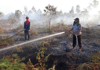 Kabut Asap Semakin Pekat, 'Spider-Man' Turun Tangan Padamkan Kebakaran Hutan di Riau