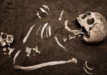 Pria Rusia Temukan Tulang dan Tengkorak Manusia di Halaman Rumah, Sang Istri Ungkap Rahasia Kelamnya 21 Tahun Lalu