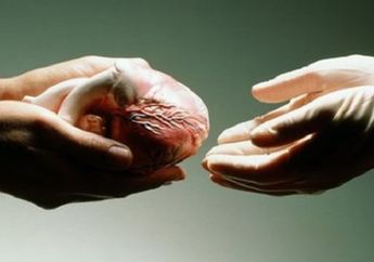 Diperjual Belikan, Organ Tubuh Manusia Hanya Dihargai Segini di Pasar Gelap