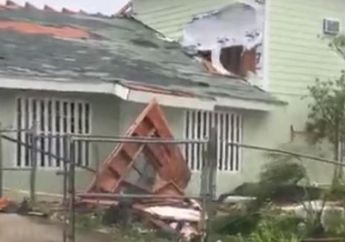 Aksi Heroik Seorang Wanita Selamatkan 97 Anjing Jalanan dari Badai Dorian yang Mematikan