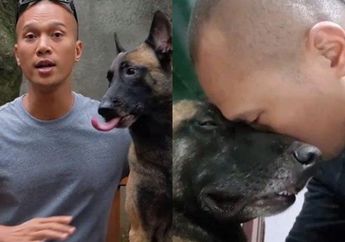 Tak Diduga, Anjing Milik Bima Aryo Adalah Ras Anjing Militer Pemburu Pimpinan ISIS, Ini Faktanya