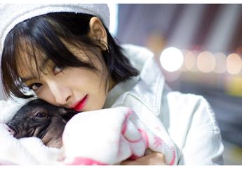 Ikuti Jejak Amber,  Victoria f(x) Keluar dari SM Entertainment Setelah 10 Tahun Debut sebagai Girlband