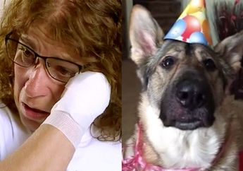 Ngeri, Sering Dijilat Anjing Peliharaannya Kaki dan Tangan Wanita ini Harus Diamputasi, Ternyata ini Penyebabnya!