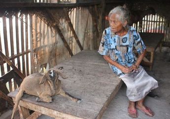 Hidup Serba Kekurangan dan Berdinding Bambu, Dua Nenek Asal Kerawang Ini Rela Tinggal Serumah dengan Kambing