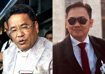 Terbang ke Markas PBB di Swiss, Farhat Abbas Langsung Disindir Hotman Paris: Ekonomi Pas-pasan Pamer ke Eropa!