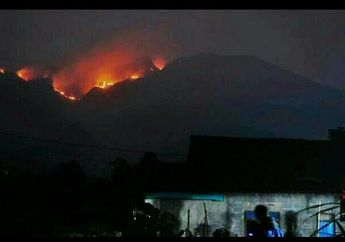 Tak Kunjung Padam, Api Justru Merembet ke Puncak Gunung Merbabu, Semua Jalur Pendakian Ditutup