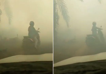 Viral, Suasana Mencekam di Kalimantan, Kabut Asap Tebal, Langit Gelap Gulita, Pengendara Motor Nyaris Jatuh Menabrak Pohon Akibat Kebakaran Hutan
