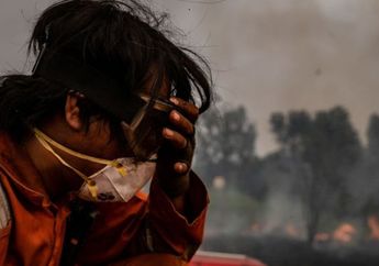 Jawaban Soal Menjaga Hutan Indonesia TVRI untuk SMP  5 Juni 2020 