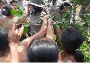 Tolak Pengembangan Wisata, Ibu-ibu di Toba Samosir Nekat Demo Tanpa Busana