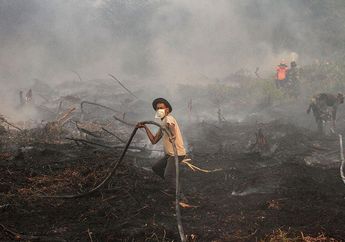 Viral, Video Curhat Oknum Petugas Pemadam Api Karhutla, Serukan Pesan Pada Mahasiswa dan Aktivis yang Hanya Koar-koar Ikut Demo Jadi Kontroversi, Petugas : Nggak Guna Kalian Ribut-ribut, Apinya Dari Sini!