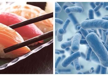 Waspada! Telah Ditemukan Bakteri Superbugs yang Sangat Berbahaya pada Makanan Laut dan Sushi