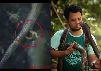 Heboh Ular Berkaki Mati Terpanggang Akibat Kebakaran Hutan, Panji Petualang Bocorkan Hal Mengejutkan!