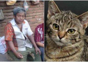 Ngaku Makan Kucing Sebagai Pengganti Nasi, Kakak Beradik Pemulung di Lampung: Rasanya Kayak Daging Ayam